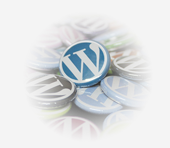 Formation WordPress